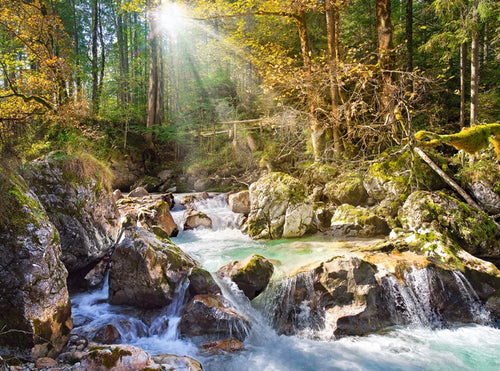 The Forest Stream, 2000 Pc Jigsaw Puzzle by Castorland