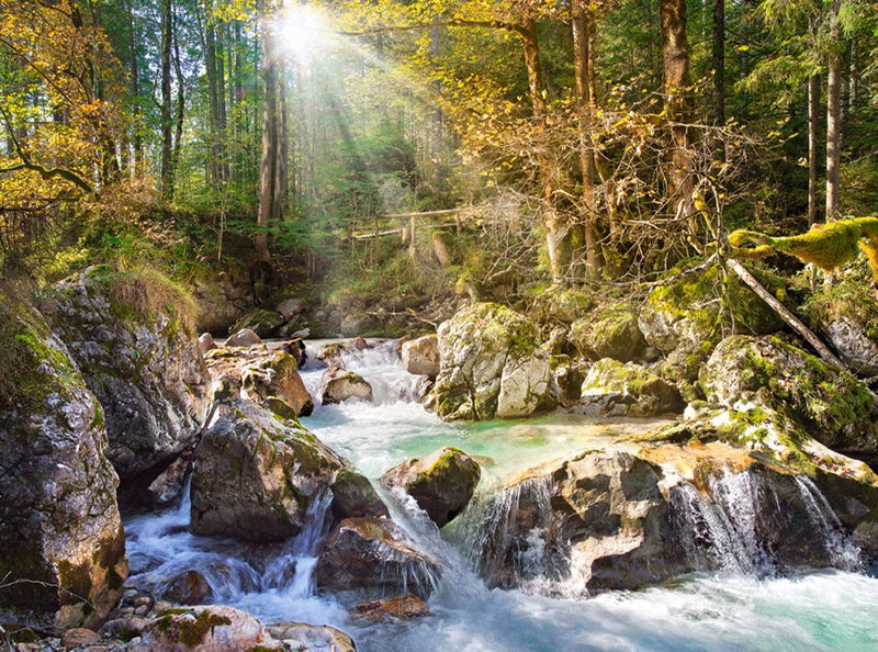 The Forest Stream, 2000 Pc Jigsaw Puzzle by Castorland
